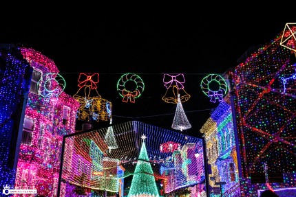 lights | The Main Street Mouse Lights