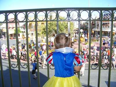 tmsm | The Main Street Mouse