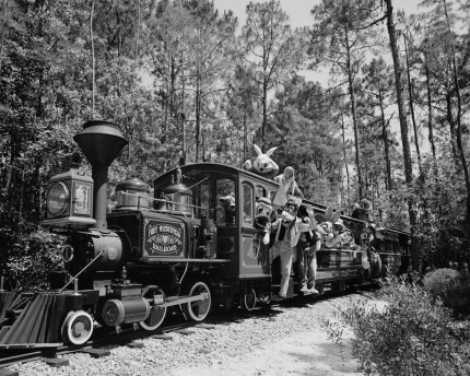 Fort-Wilderness-Railroad