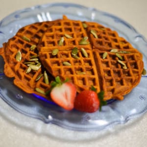 pumpkinwaffle | The Main Street Mouse Pumpkinwaffle