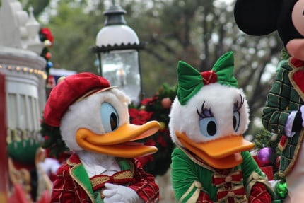 IMG3234 | The Main Street Mouse