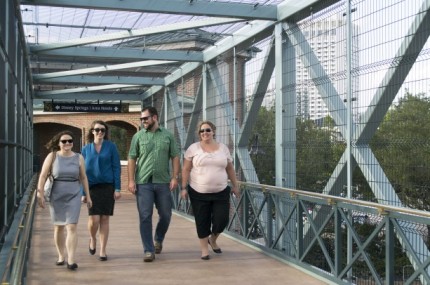 pedbridge walk 12 1 613x406