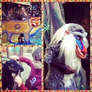Akcollage
