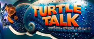 Turtle-Talk