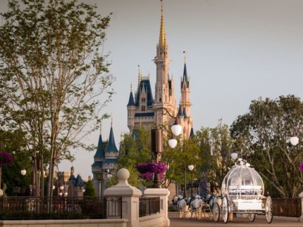 castlemarried | The Main Street Mouse