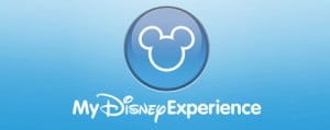 my disney experience