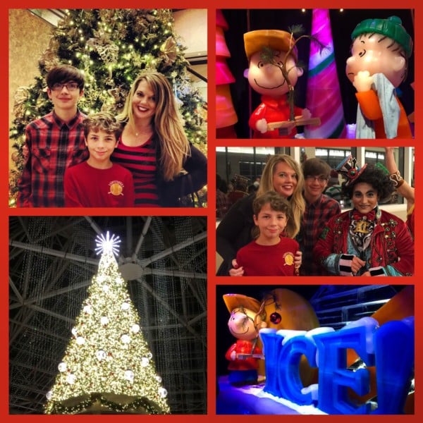 gaylordcollage