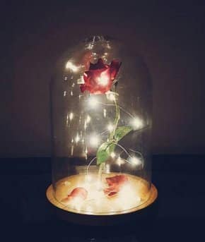Life-Sized 13″ Enchanted Rose that Lasts Forever Inspired By Disney ...