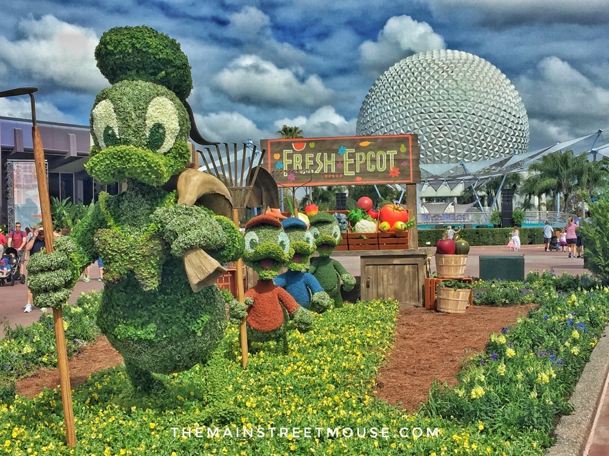 flg4 | The Main Street Mouse