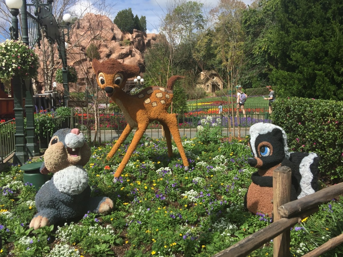 flg7 | The Main Street Mouse