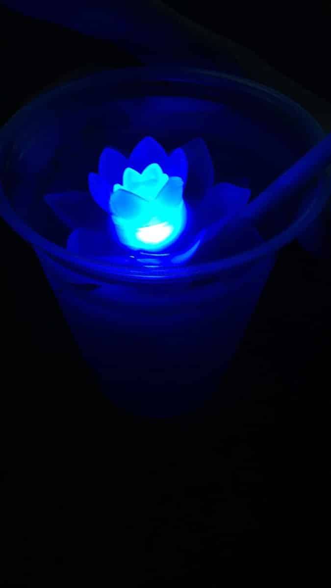 Get A Light Up Lotus Flower, By Rivers Of Light!