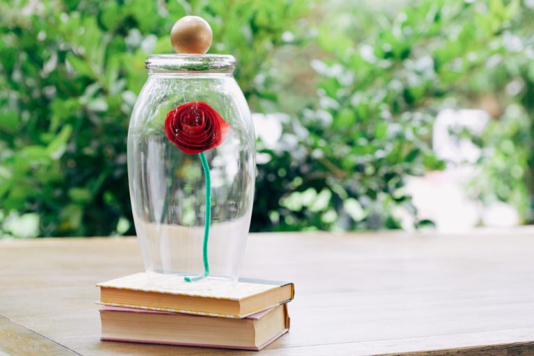 paperrose | The Main Street Mouse