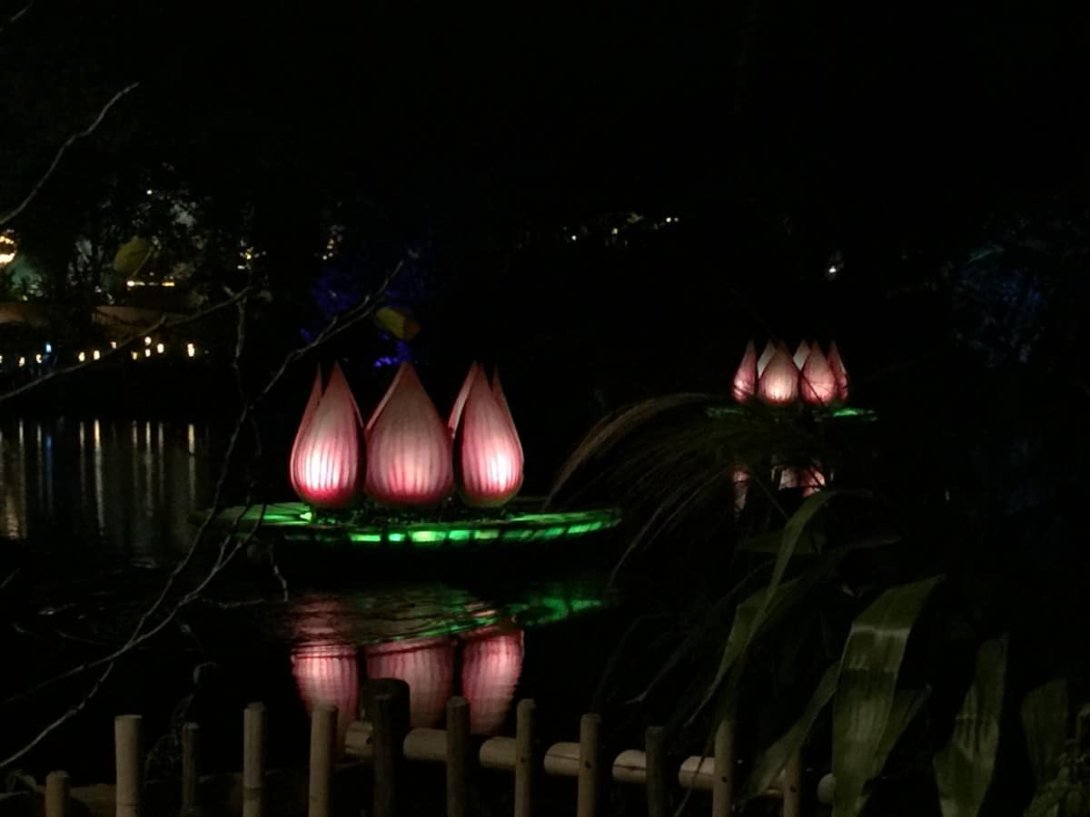 lotus | The Main Street Mouse