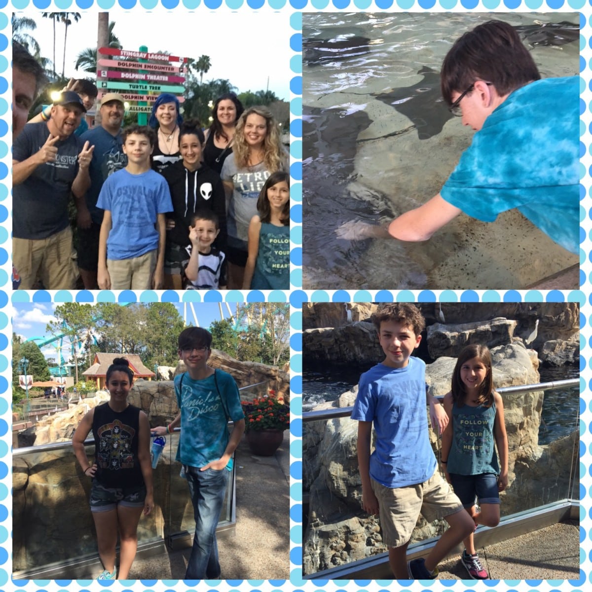 seaworldcol | The Main Street Mouse