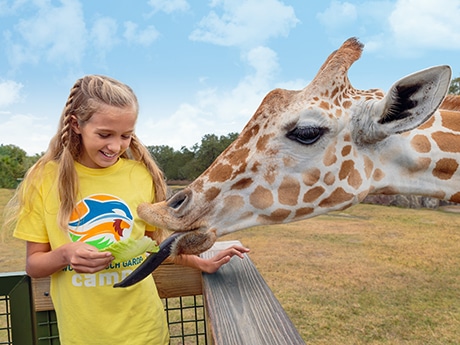 Busch Gardens Tampa Educational Day Camps Return This Summer