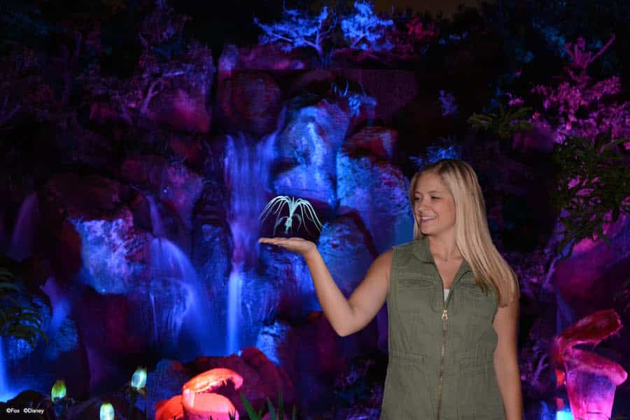 Stunning Photo Opportunities in Pandora – The World of Avatar