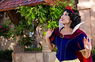 “Dream Big, Princess” Launching New Global Photography Campaign