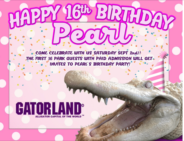 Pearl Sweet 16 Graphic | The Main Street Mouse