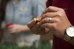 All in the Details: Imagineers Put Final Touches On The Toy Story Land Model For Walt Disney Presents