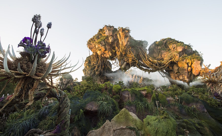 Pandora the World of Avatar at Disney's Animal Kingdom