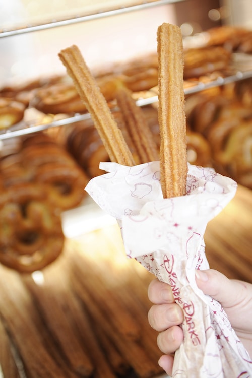 Churros at Walt Disney World Resort