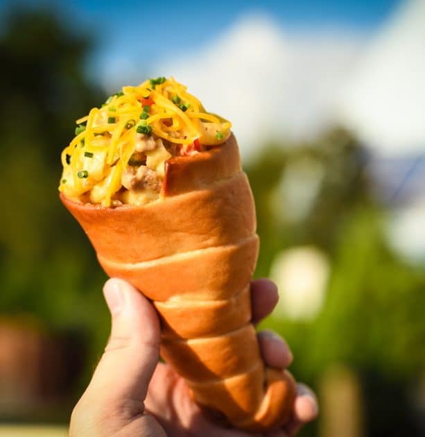 Handwich from Epcot International Food and Wine Festival