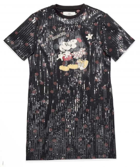 coach9 | The Main Street Mouse