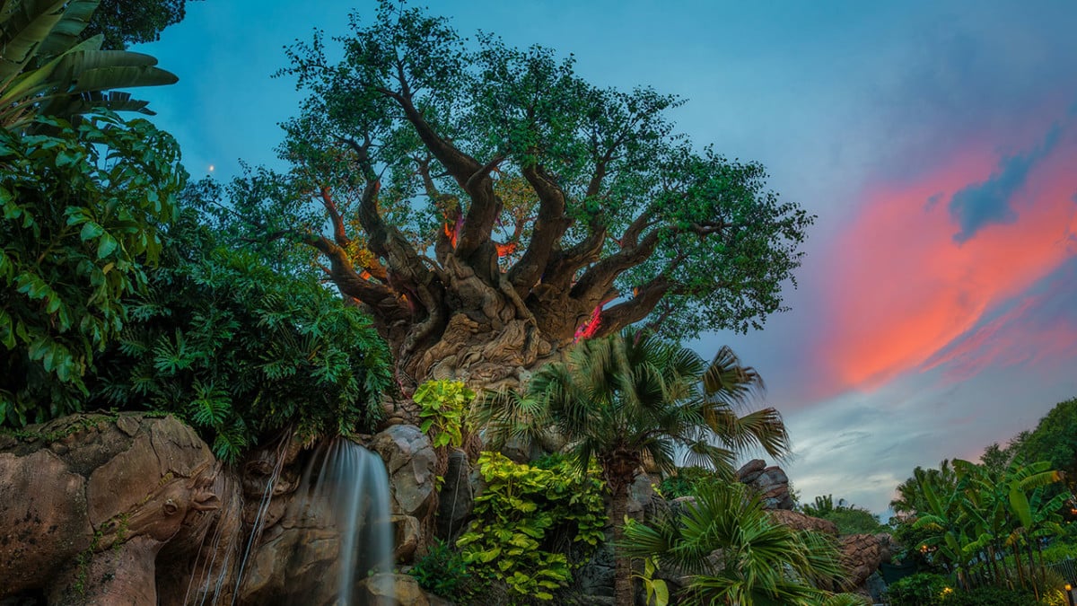 | The Main Street Mouse Tree of Life at Disney's Animal Kingdom