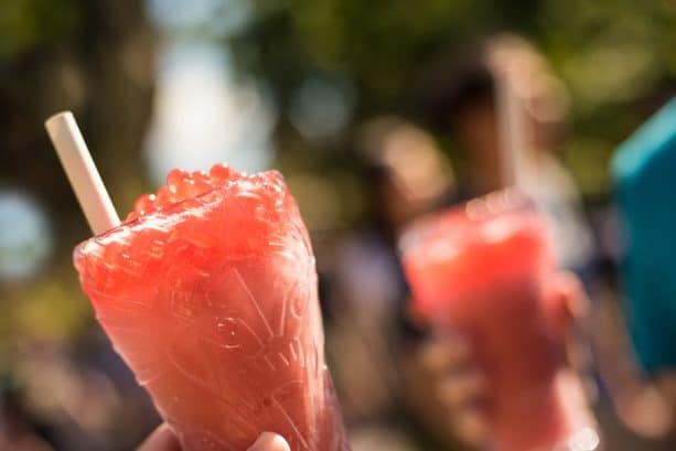 Moara Margarita at Pongu Pongu in Disneys Animal Kingdom