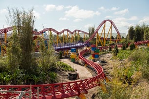 Slinky Dog Dash in Toy Story Land at Disney's Hollywood Studios Slinky Dog Dash in Toy Story Land at Disney's Hollywood Studios