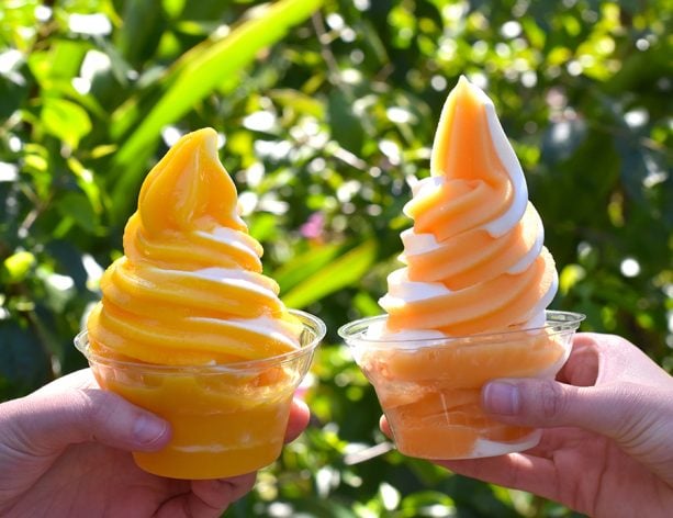 Orange and Citrus Swirls at Sunshine Tree Terrace at Magic Kingdom Park