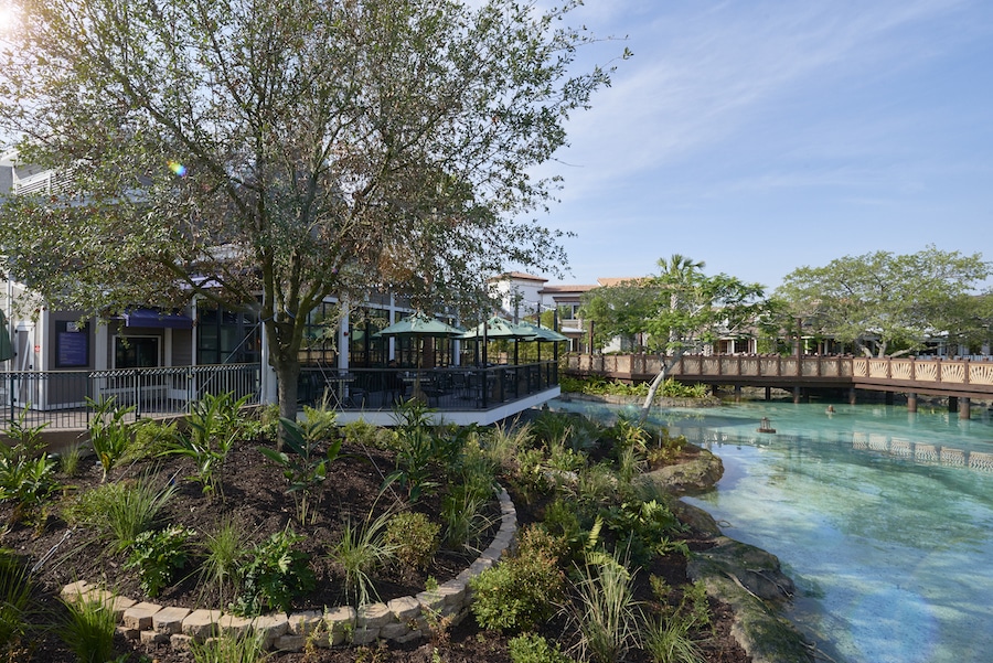 Frontera Cocina at Disney Springs