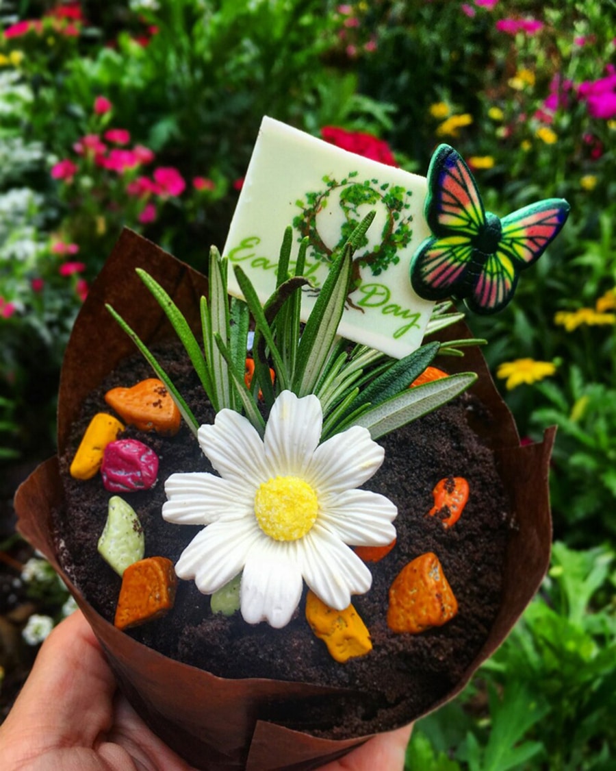 Earth Day Cupcake at Disney’s Wilderness Lodge