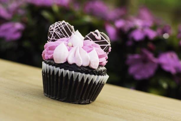 Millennial Pink Chocolate Cupcake at Riverside Mill at Disney’s Port Orleans – Riverside Resort