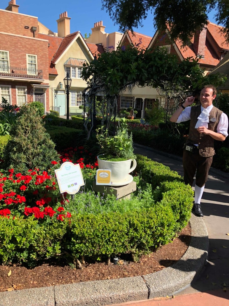 321918292220758354822032874776239947120640n | The Main Street Mouse