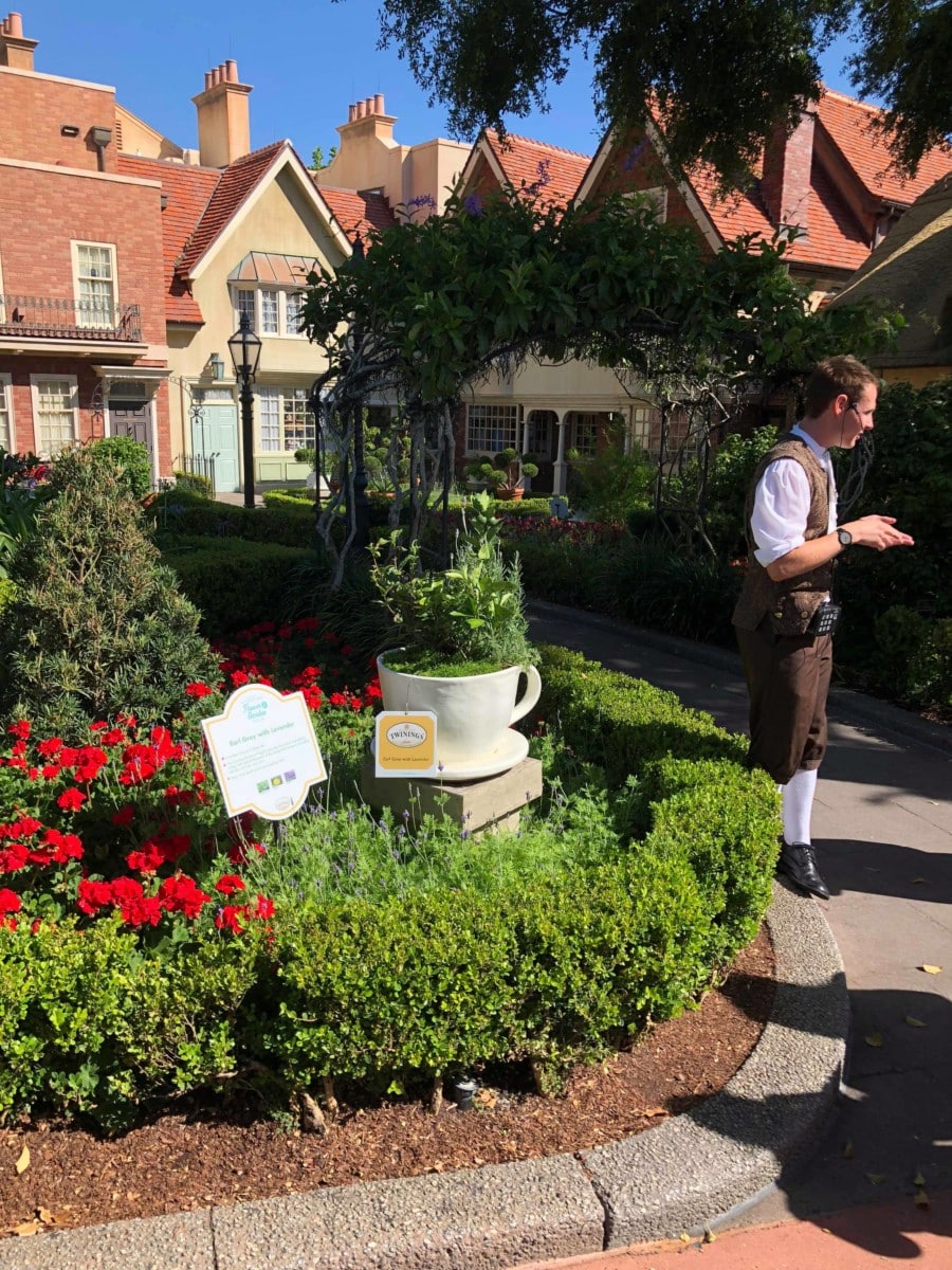 3219185122207582948220385299698311337345024n | The Main Street Mouse