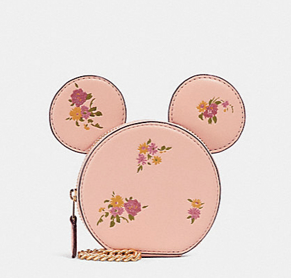 coach5 | The Main Street Mouse