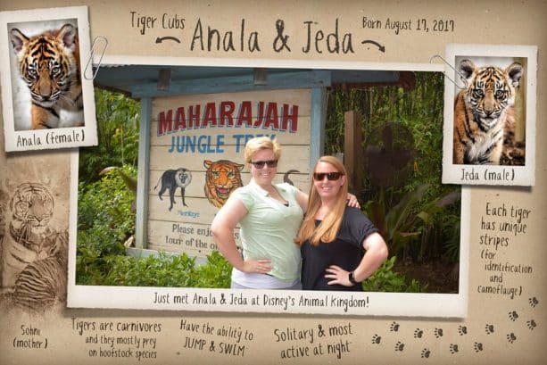 New Disney PhotoPass Magic Shot Maharajah Jungle Trek at Disney’s Animal Kingdom 