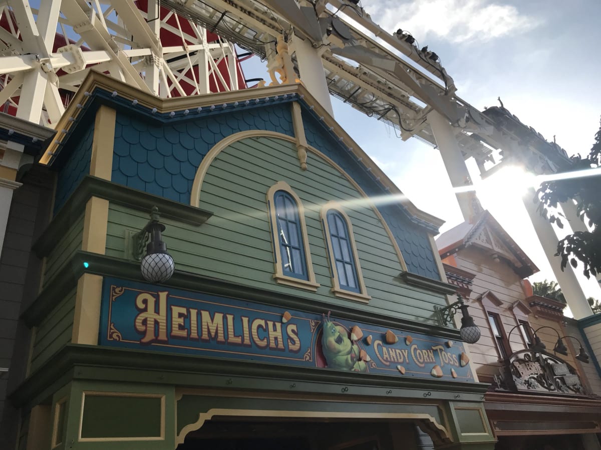IMG3665 | The Main Street Mouse