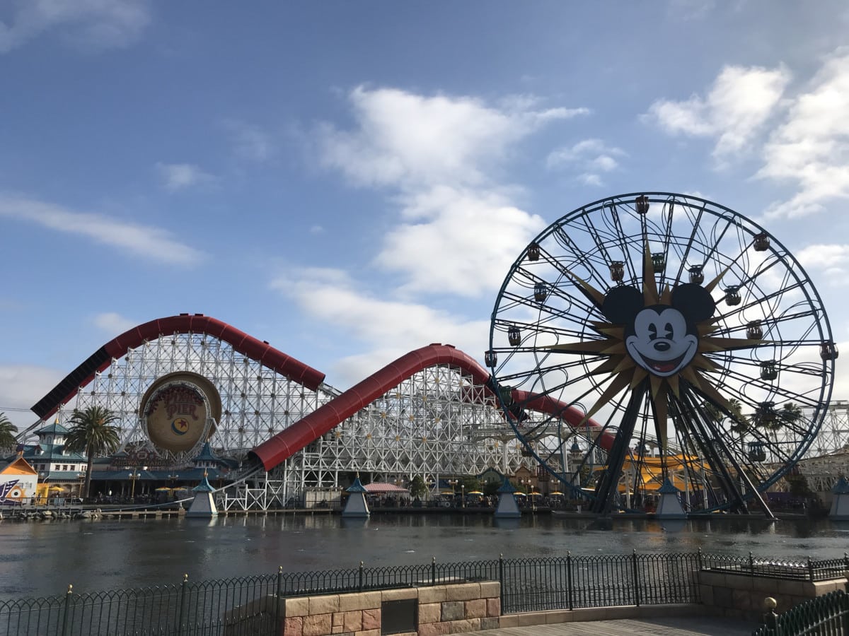 IMG3732 | The Main Street Mouse