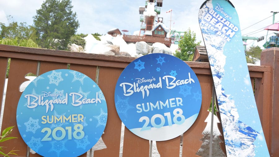 Memory Maker at Disney Water Parks