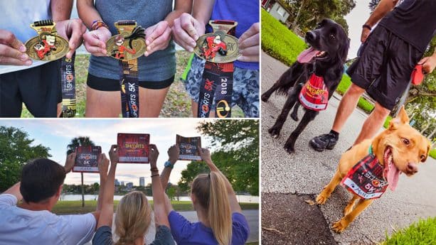 Rundisney Virtual Race People and Dogs