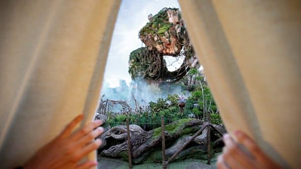 Ultimate Glamping Experience at Walt Disney World Resort