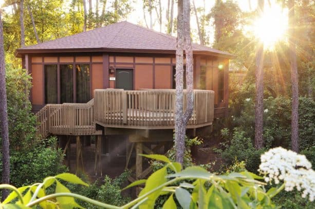 | The Main Street Mouse Treehouse Villas at Disneys Saratoga Springs Resort Spa