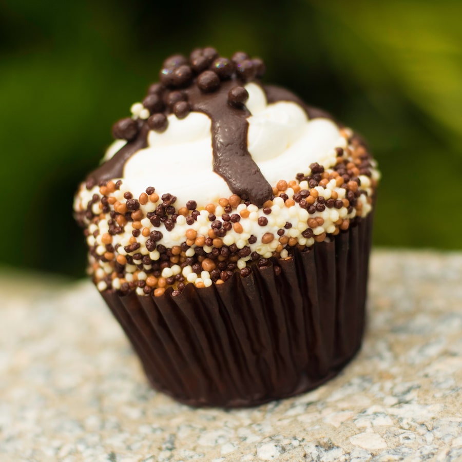 Boston Cream Cupcake at Fountain View at Epcot