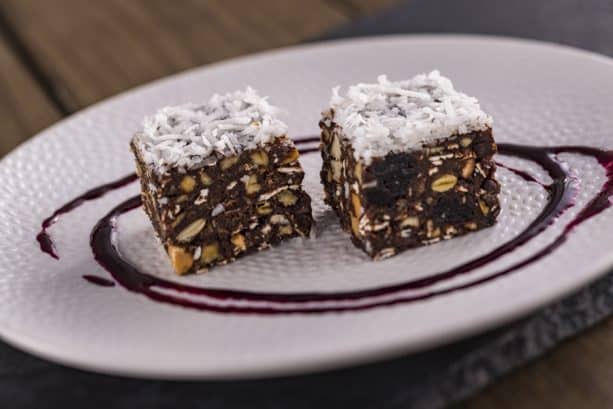 Active Eats Energy Bar Bites at the Active Eats Marketplace for the Epcot International Food Wine Festival