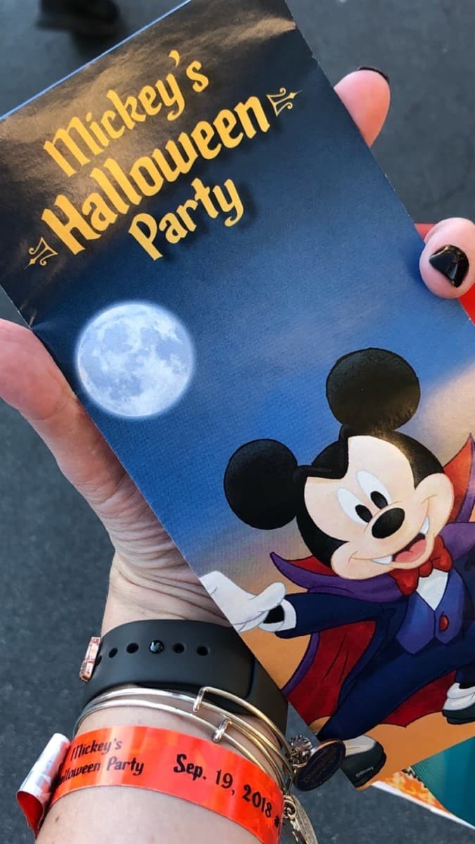 5C870B9C622746C9BA09D0B7E8661AEC | The Main Street Mouse