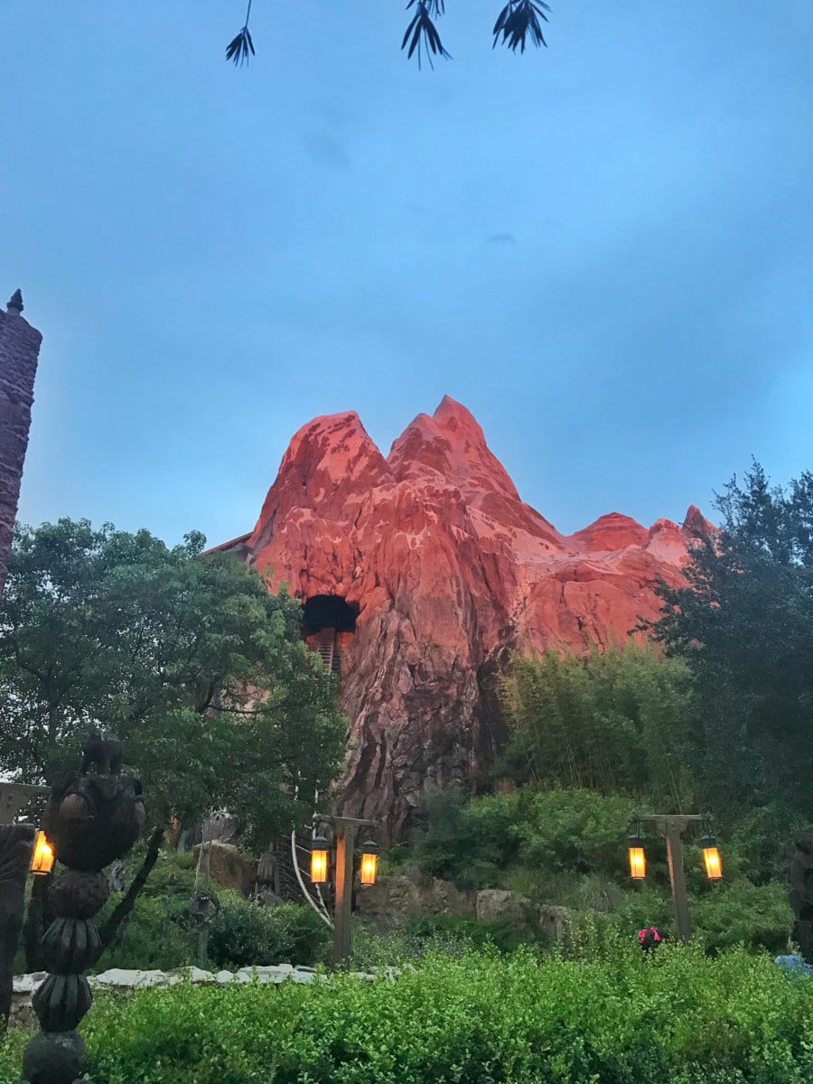 fullsizeoutput3258 | The Main Street Mouse