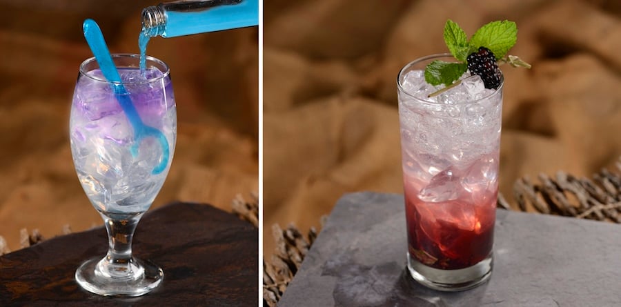 Transformation Potion and Stone Fruit and Berry Breeze Non-Alcoholic Beverages at Storybook Dining at Artist Point at Disney’s Wilderness Lodge