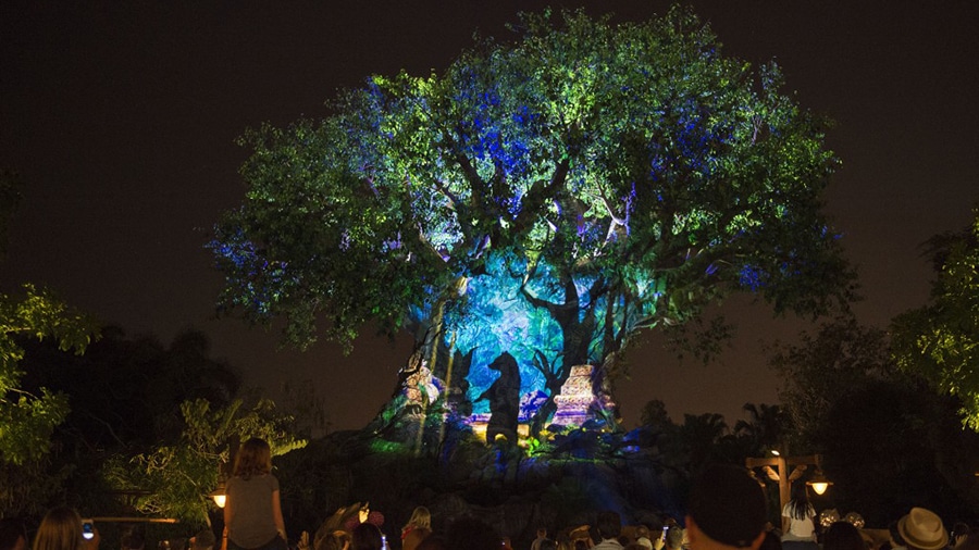 Tree of Life Awakenings
